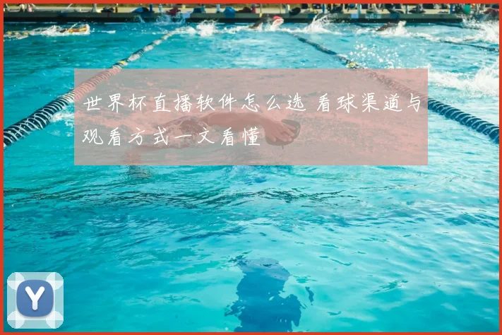 世界杯直播软件怎么选 看球渠道与观看方式一文看懂