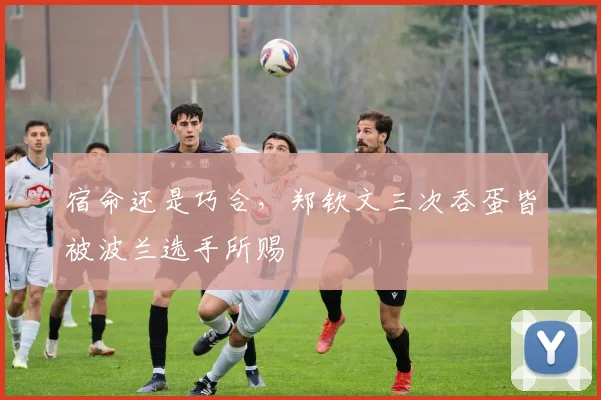 宿命还是巧合，郑钦文三次吞蛋皆被波兰选手所赐